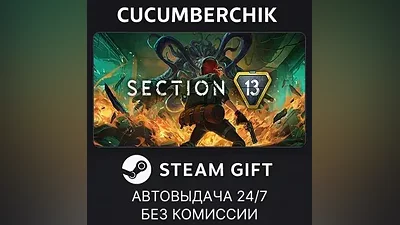 Section 13 STEAM GIFT AUTO RU+World