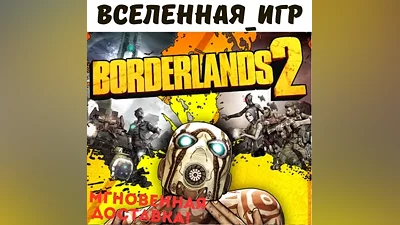 BORDERLANDS 2 (REGION FREE) STEAM