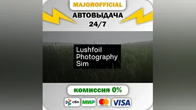 Lushfoil Photography Sim Auto Steam Gift
