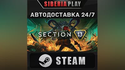 Section 13 STEAM AUTO RU/UA/KZ/CIS