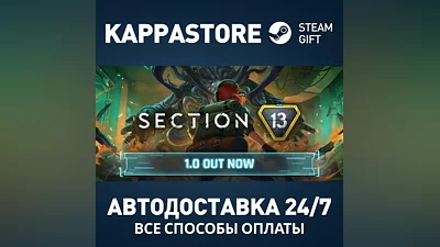 Section 13 Steam AUTODELIVERY RU/BY/KZ/UA