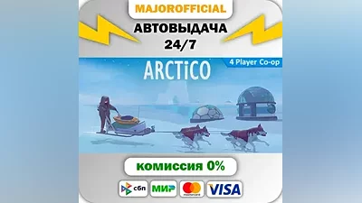 Arctico Auto Steam Gift