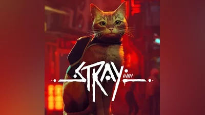 STRAY STEAM KEY