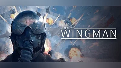 Steam gift RU - Project Wingman | AUTODELIVERY