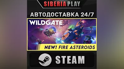 Wildgate STEAM AUTO RU/UA/KZ/CIS