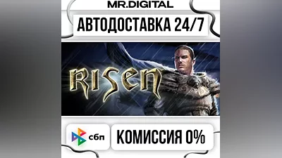 Risen STEAM AUTO DELIVERY 24/7