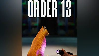 ORDER 13 Steam key Global Worldwide Region free + RU/CIS