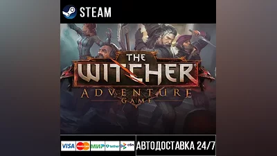 The Witcher Adventure Game Steam Gift