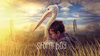 Storm Boy (PC) [Global] [Standard]