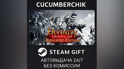 Divinity: Original Sin Enhanced Edition - Collector's Edition STEAM GIFT AUTO RU+World