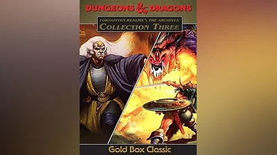 Forgotten Realms: The Archives - Collection Three Steam CD Key (Global)