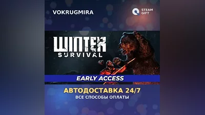 Winter Survival | Steam Gift | Auto Delivery