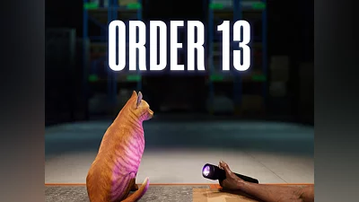 Order 13 (PS5)