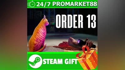 ALL COUNTRIES Order 13 STEAM GIFT