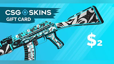 CSGO Skins Gift Card 2 USD [Global] [Standard]