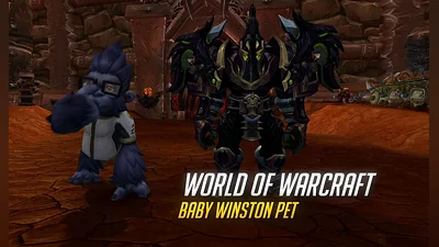 World of Warcraft Baby Winston Pet (PC) [Global] [Standard]