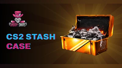 DaddySkins CS2 Stash Case [Global] [Standard]
