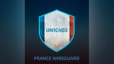 FRANCE WIREGUARD VPN 1 MONTH