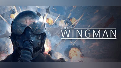 Project Wingman (PC) [North America] [Standard]