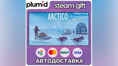 Arctico Steam Gift / Russia + WORLD / AUTO