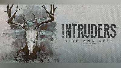 Intruders: Hide and Seek
