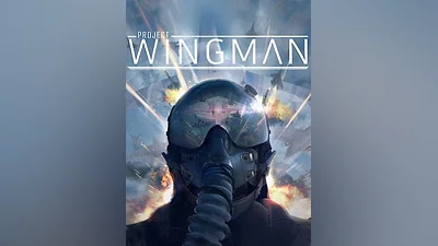 Project Wingman Steam CD Key (Global)